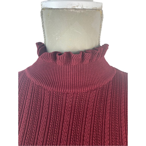 Zara Turtle Neck Ruffle Collar and Sleeves Size Small Wine - Picture 2 of 9